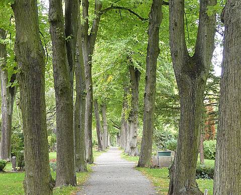 Friedhofsweg
