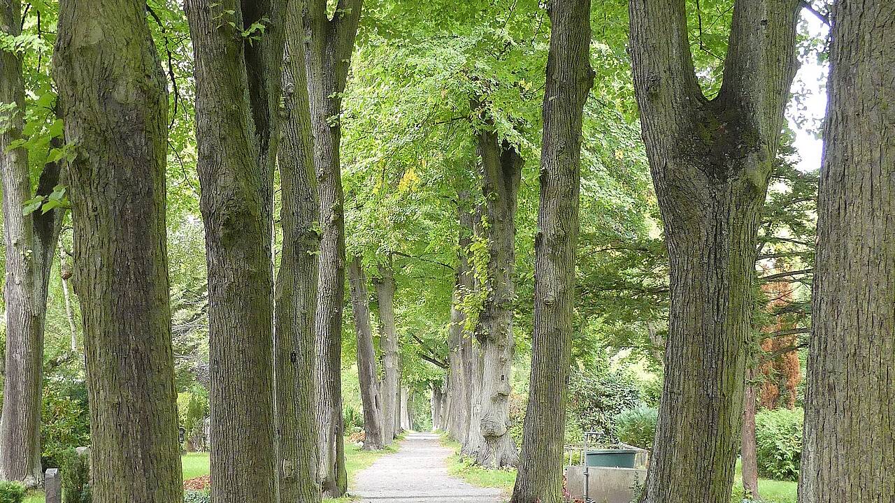 Friedhofsweg